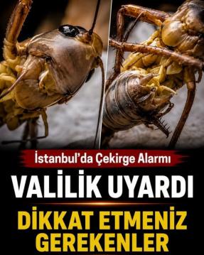 İşte Zehra'nın Kazandığı Okul!