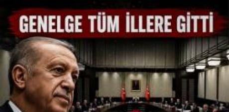 81 iIin tamamında 