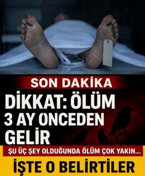 İşte Zehra'nın Kazandığı Okul!