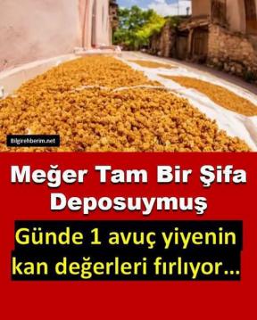 İşte Zehra'nın Kazandığı Okul!