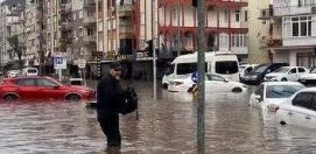 13 ilimiz