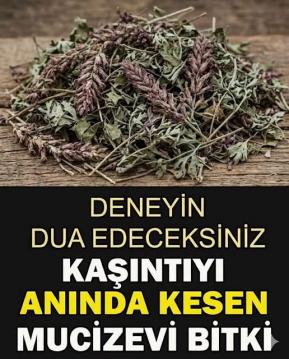 İşte Zehra'nın Kazandığı Okul!