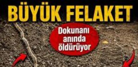 Herkes Önlemini Alsın