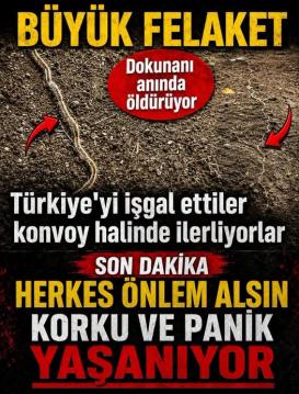 İşte Zehra'nın Kazandığı Okul!