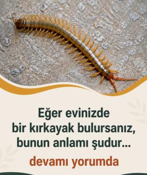 İşte Zehra'nın Kazandığı Okul!
