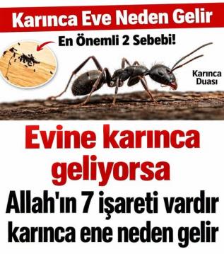 İşte Zehra'nın Kazandığı Okul!