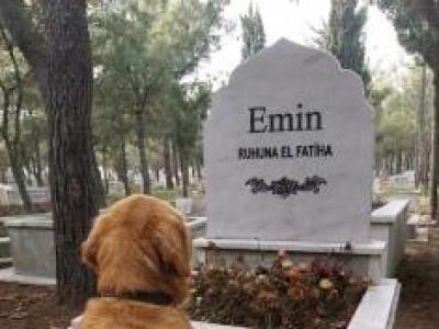 GARİP BİR KÖPEK HER GÜN OĞLUMUN MEZARINDA