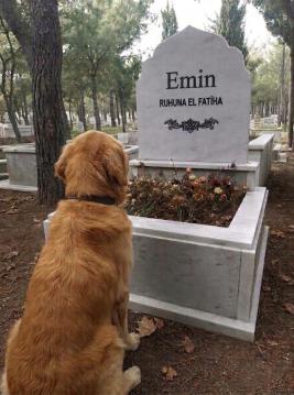 İşte Zehra'nın Kazandığı Okul!