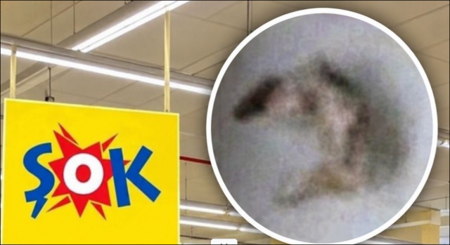 İşte Zehra'nın Kazandığı Okul!
