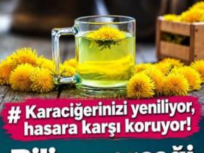Karaciğerinizi yeniliyor, hasara karşı koruyor