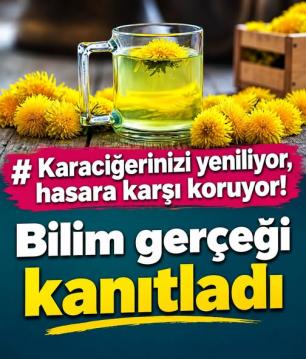 İşte Zehra'nın Kazandığı Okul!