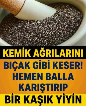 İşte Zehra'nın Kazandığı Okul!