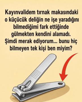 İşte Zehra'nın Kazandığı Okul!
