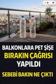 İşte Zehra'nın Kazandığı Okul!