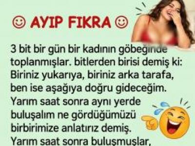 3 bit birgün bir kadının göbeğinde toplanmışlar 