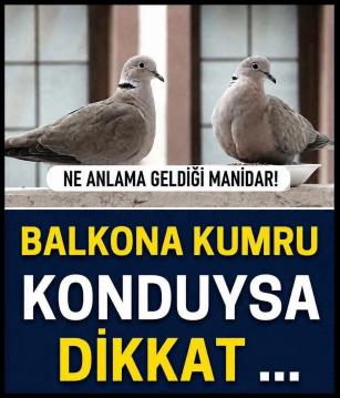 İşte Zehra'nın Kazandığı Okul!