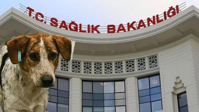 İşte Zehra'nın Kazandığı Okul!