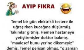 Temel Yine İş Başında