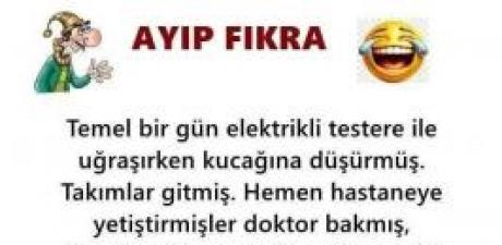 Temel Yine İş Başında