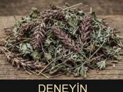 MUCİZEVİ BİTKİ