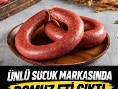 Vatandaşa at eşek ve dmuz eti yedirdiler