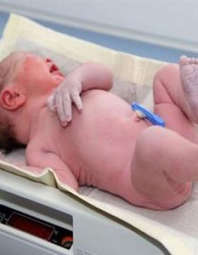 Ürküten iddia: Yapmadıkları aşıyı yapmış gibi gösteriyorlar