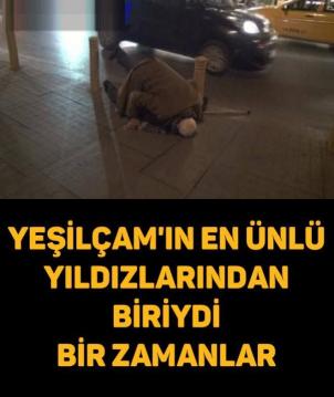 İşte Zehra'nın Kazandığı Okul!