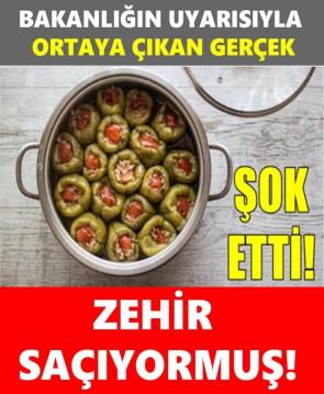 İşte Zehra'nın Kazandığı Okul!