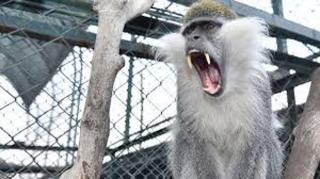 İşte Zehra'nın Kazandığı Okul!