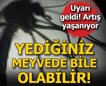 İşte Zehra'nın Kazandığı Okul!