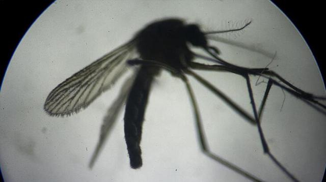 İşte Zehra'nın Kazandığı Okul!