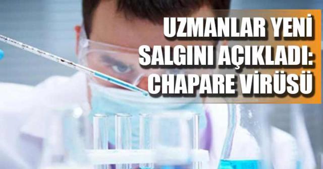 İşte Zehra'nın Kazandığı Okul!