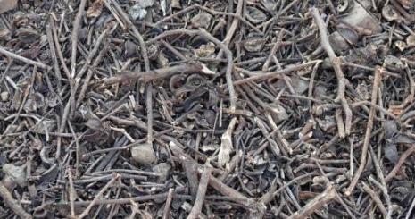 Hurda Fiyatları Uçuşta: Hemen Hurdaci.net Adresine Girin, Hurda Fiyatlarına Göz Atın 