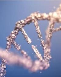 MS (Multipl Skleroz) Hastalığında Kök Hücre Tedavisi: Umut Veren Bir Bilimsel Gelişme