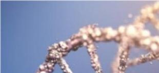 MS (Multipl Skleroz) Hastalığında Kök Hücre Tedavisi: Umut Veren Bir Bilimsel Gelişme